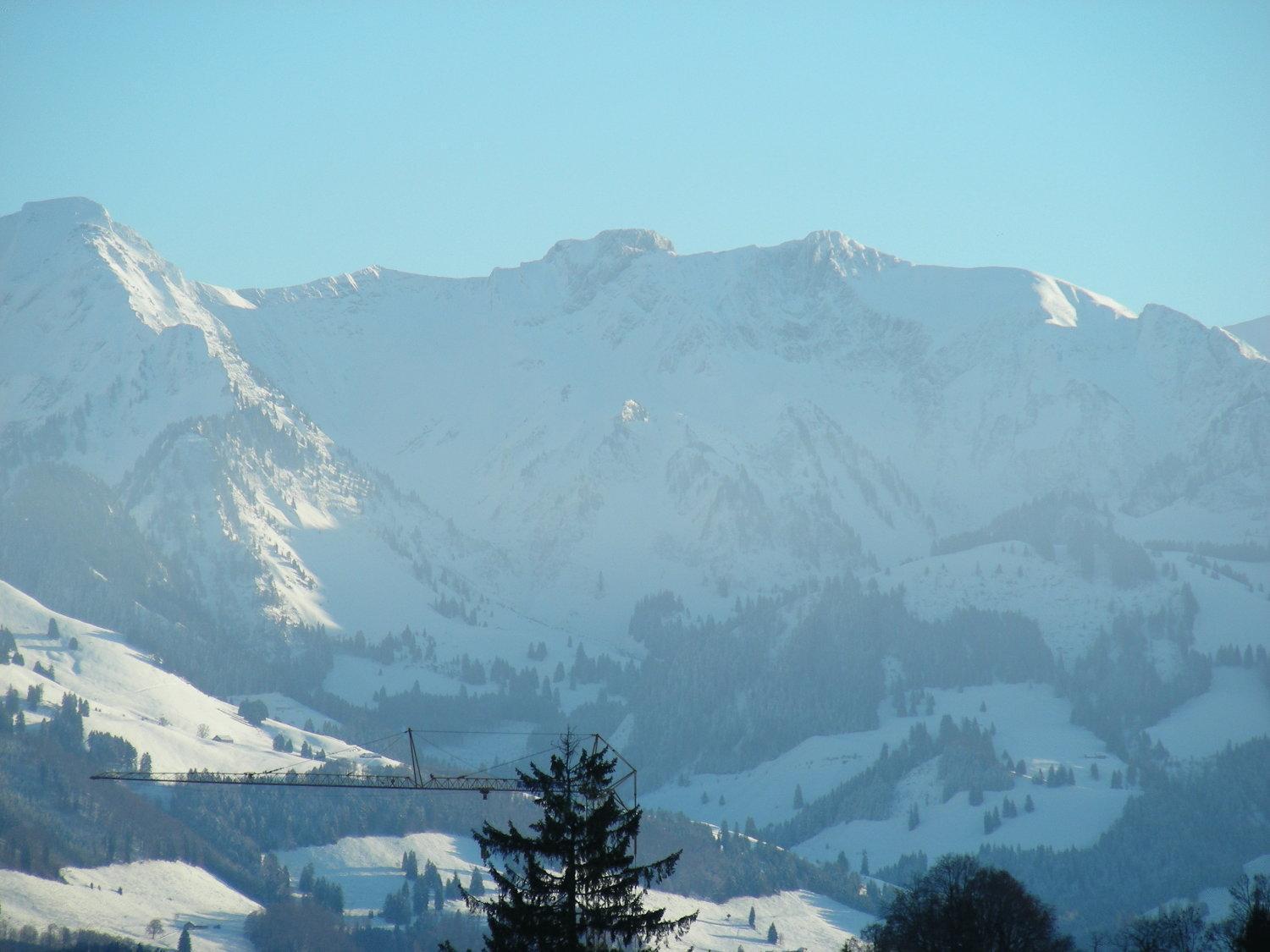 Ibis - La Gruyere Swiss Bike